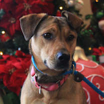 Thumbnail photo of BABY #1