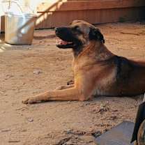 Thumbnail photo of BOONE #2