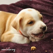 Thumbnail photo of Marsha #2