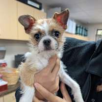 Thumbnail photo of Benjamin #1