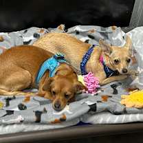 Thumbnail photo of Nirvana  #3