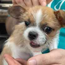 Thumbnail photo of Benjamin #2