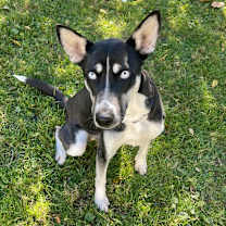 Thumbnail photo of Sunshine #4