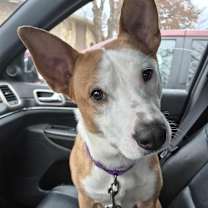 Thumbnail photo of Rubble #4