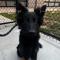 Thumbnail photo of Mariposa #1