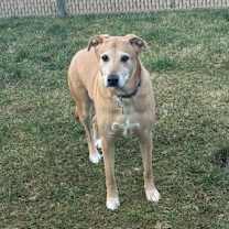 Thumbnail photo of Marley (real name) #1