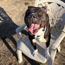 Thumbnail photo of Nabisco (In Foster) #2