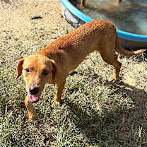 Thumbnail photo of Jolly #2