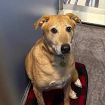 Thumbnail photo of Marley (real name) #2