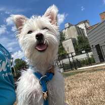 Thumbnail photo of Nori #1