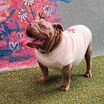 Thumbnail photo of Nellie #1