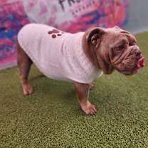 Thumbnail photo of Nellie #2