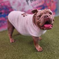 Thumbnail photo of Nellie #3