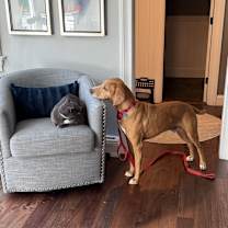 Thumbnail photo of Clifford #3