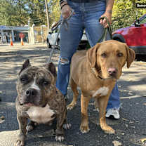 Thumbnail photo of Fiona #2