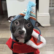 Thumbnail photo of Star #2