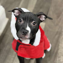 Thumbnail photo of Star #3