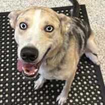 Thumbnail photo of AMY #2