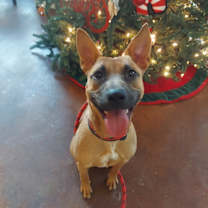 Thumbnail photo of FONDA GRITS #1