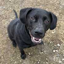 Thumbnail photo of FRUIT CAKE #1