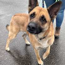 Thumbnail photo of Nikolai #1