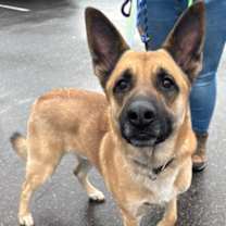 Thumbnail photo of Nikolai #2