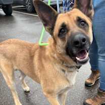 Thumbnail photo of Nikolai #3