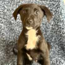 Thumbnail photo of Graham #1