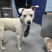 Thumbnail photo of Freddie #2