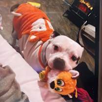 Thumbnail photo of Kayla #1