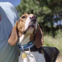 Thumbnail photo of Prince #4