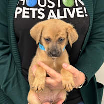 Thumbnail photo of Lucien #2