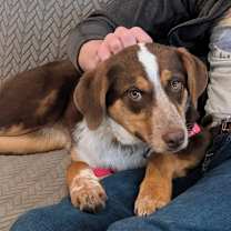 Thumbnail photo of Precious #1