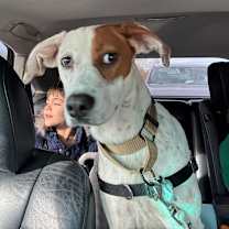 Thumbnail photo of Lucy Loo #1