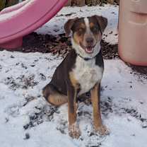 Thumbnail photo of Precious #3