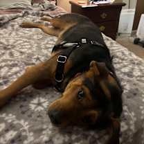 Thumbnail photo of Pinky #4