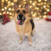 Thumbnail photo of JULY #1