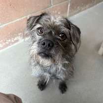 Thumbnail photo of Coco #2