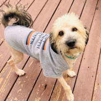 Thumbnail photo of Lyle #4