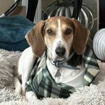 Thumbnail photo of Drew #1