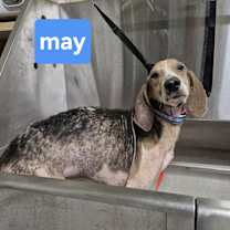 Thumbnail photo of Drew #2