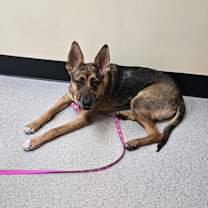 Thumbnail photo of ATHENA #1