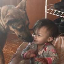 Thumbnail photo of ATHENA #2