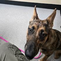 Thumbnail photo of ATHENA #3