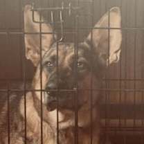 Thumbnail photo of ATHENA #4