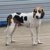 Thumbnail photo of Wilda #1