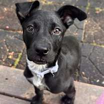 Thumbnail photo of Paige #2