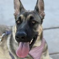 Thumbnail photo of Elora #1