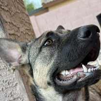 Thumbnail photo of Elora #2