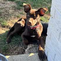 Thumbnail photo of Kisses #2